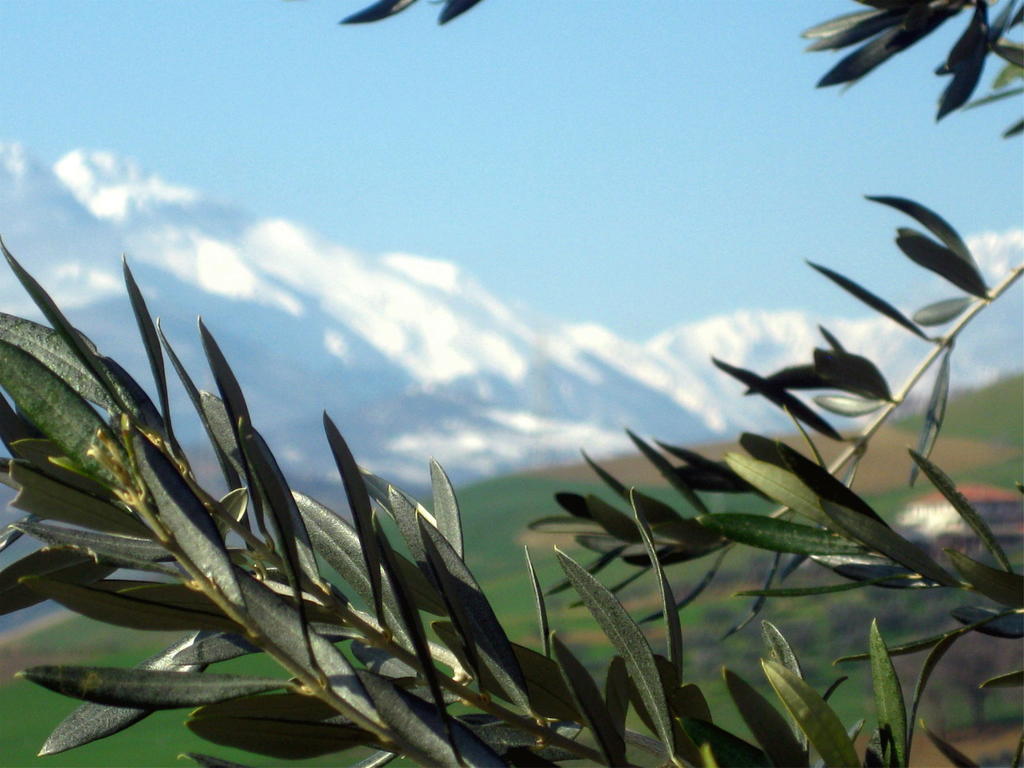 Agriturismo Cignale Penne Luaran gambar