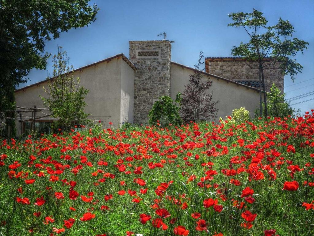Agriturismo Cignale Penne Luaran gambar