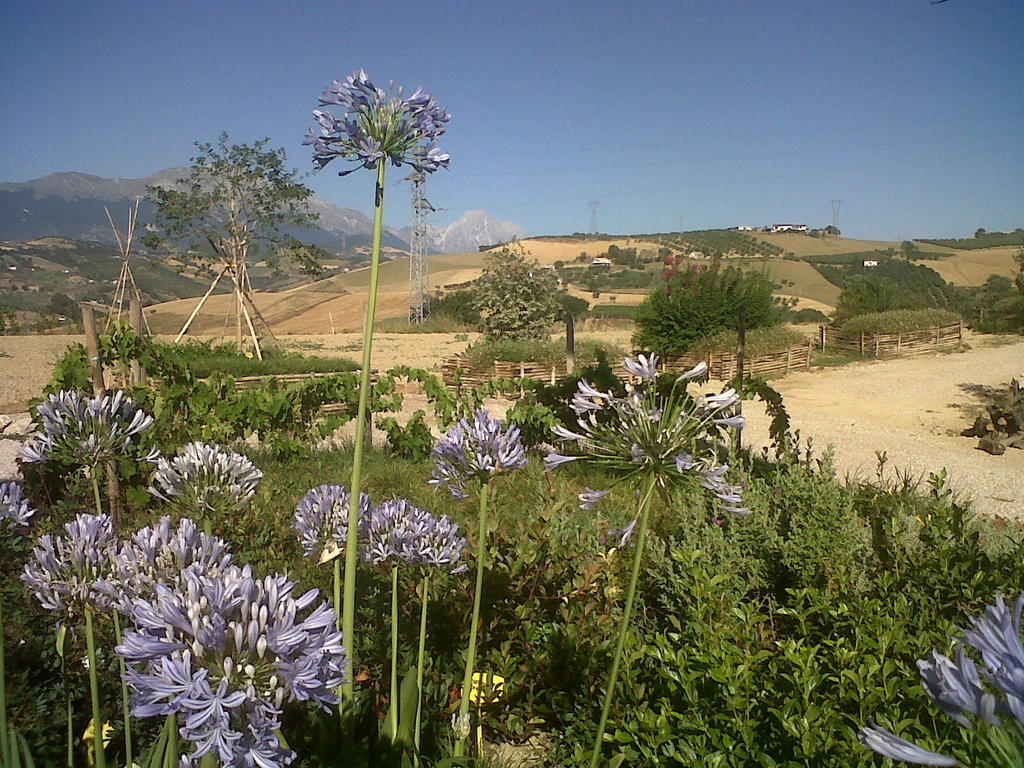 Agriturismo Cignale Penne Luaran gambar