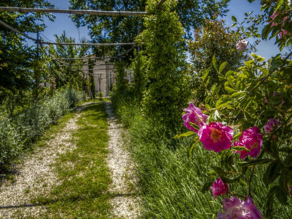 Agriturismo Cignale Penne Luaran gambar