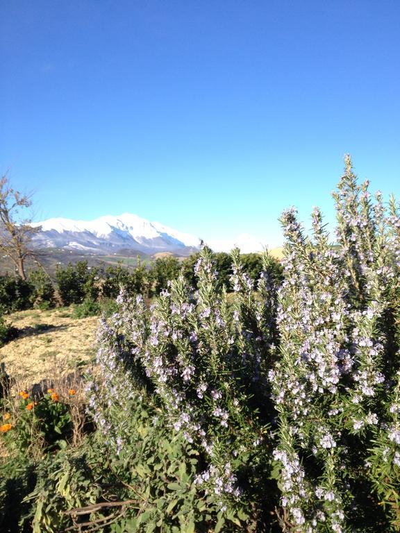 Agriturismo Cignale Penne Luaran gambar