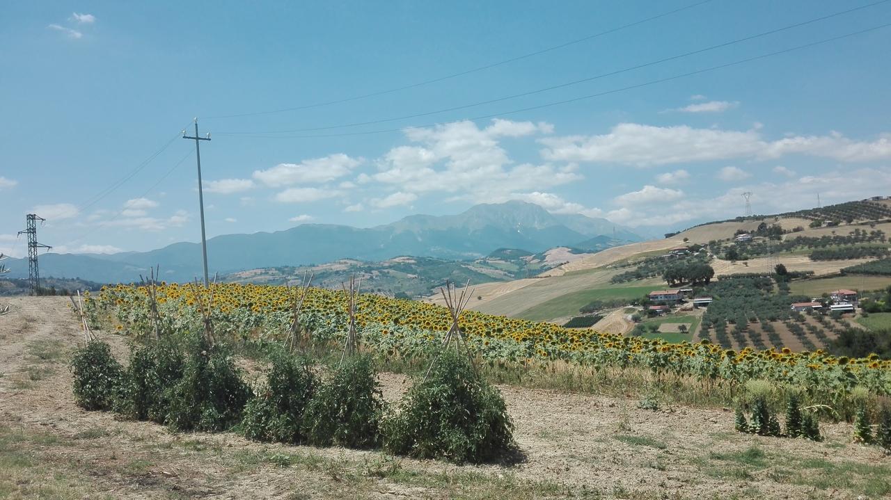 Agriturismo Cignale Penne Luaran gambar